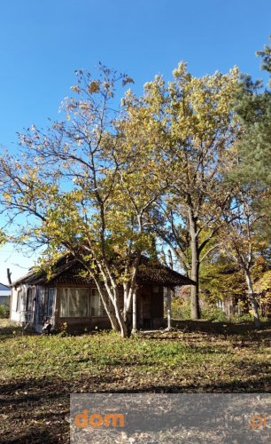 Piękna działka na Błogoszczy na sprzedaż (obok Siedlec)